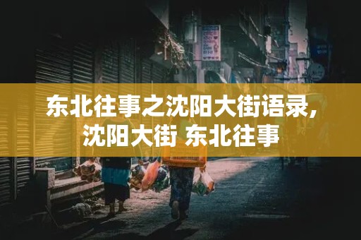 东北往事之沈阳大街语录,沈阳大街 东北往事