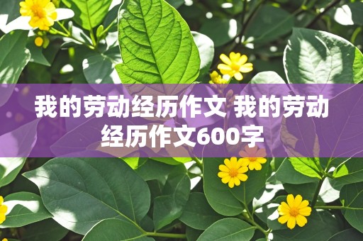 我的劳动经历作文 我的劳动经历作文600字