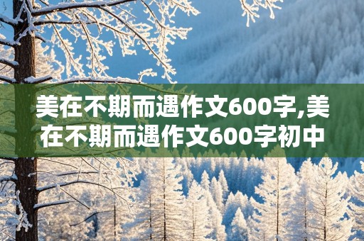 美在不期而遇作文600字,美在不期而遇作文600字初中