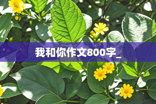 我和你作文800字_