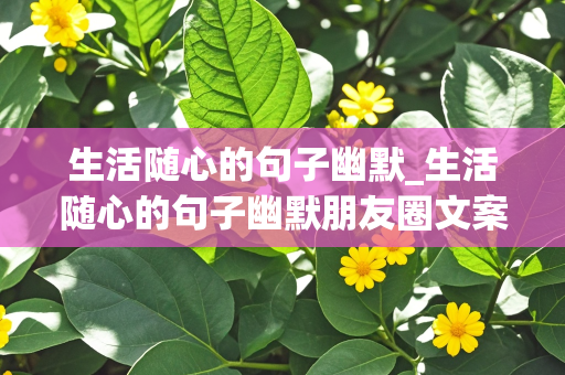 生活随心的句子幽默_生活随心的句子幽默朋友圈文案