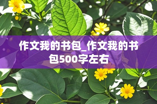 作文我的书包_作文我的书包500字左右