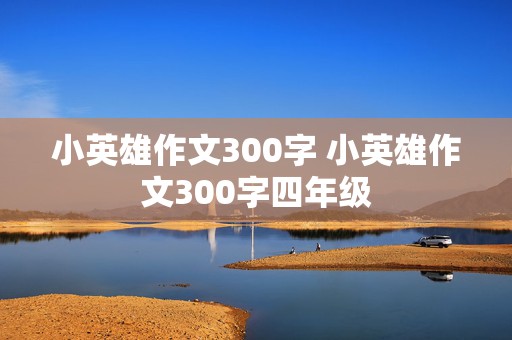 小英雄作文300字 小英雄作文300字四年级