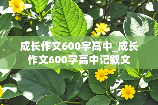 成长作文600字高中_成长作文600字高中记叙文