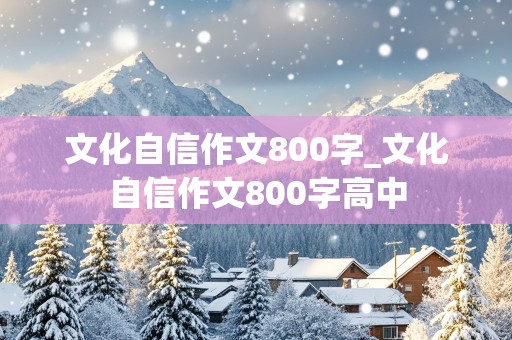 文化自信作文800字_文化自信作文800字高中