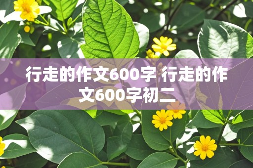 行走的作文600字 行走的作文600字初二