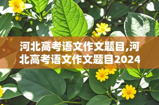 河北高考语文作文题目,河北高考语文作文题目2024