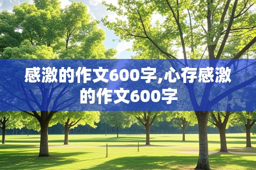 感激的作文600字,心存感激的作文600字