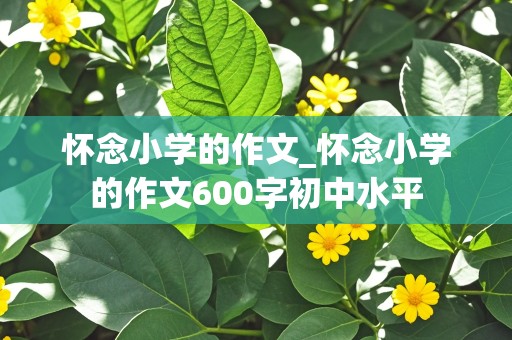 怀念小学的作文_怀念小学的作文600字初中水平