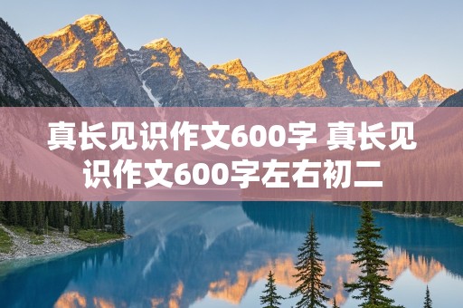 真长见识作文600字 真长见识作文600字左右初二