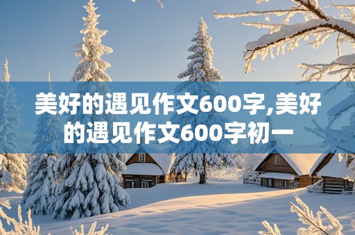 美好的遇见作文600字,美好的遇见作文600字初一