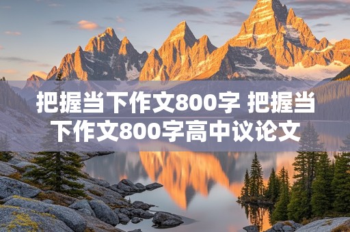 把握当下作文800字 把握当下作文800字高中议论文