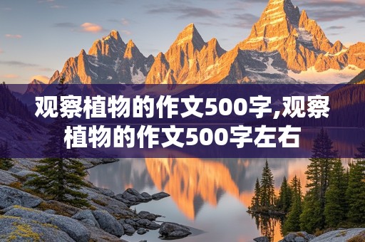 观察植物的作文500字,观察植物的作文500字左右