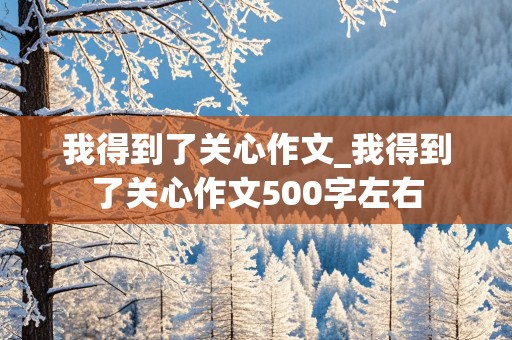 我得到了关心作文_我得到了关心作文500字左右