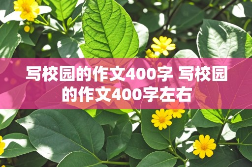 写校园的作文400字 写校园的作文400字左右