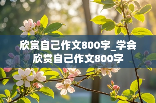 欣赏自己作文800字_学会欣赏自己作文800字