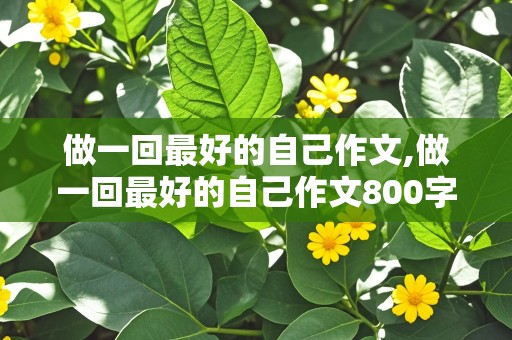 做一回最好的自己作文,做一回最好的自己作文800字