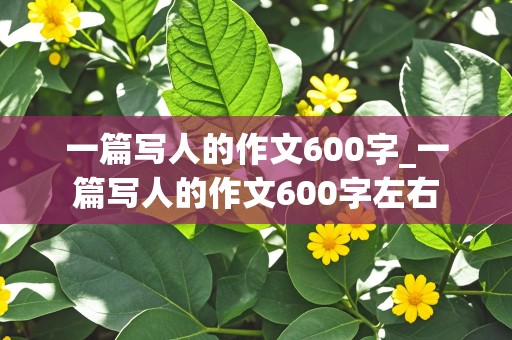 一篇写人的作文600字_一篇写人的作文600字左右