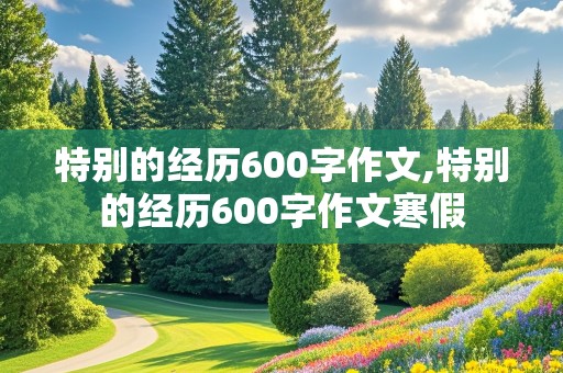 特别的经历600字作文,特别的经历600字作文寒假