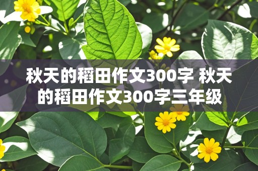 秋天的稻田作文300字 秋天的稻田作文300字三年级