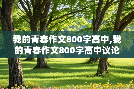 我的青春作文800字高中,我的青春作文800字高中议论文