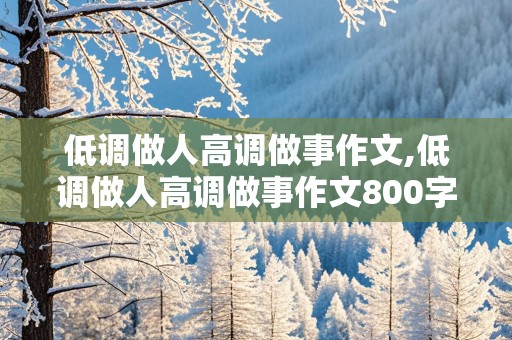 低调做人高调做事作文,低调做人高调做事作文800字