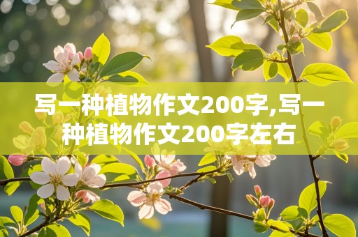 写一种植物作文200字,写一种植物作文200字左右