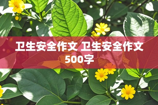 卫生安全作文 卫生安全作文500字