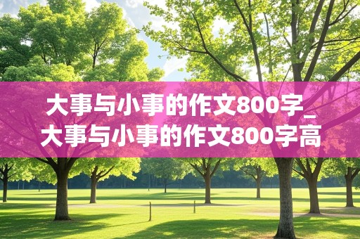 大事与小事的作文800字_大事与小事的作文800字高中