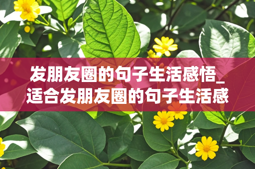 发朋友圈的句子生活感悟_适合发朋友圈的句子生活感悟