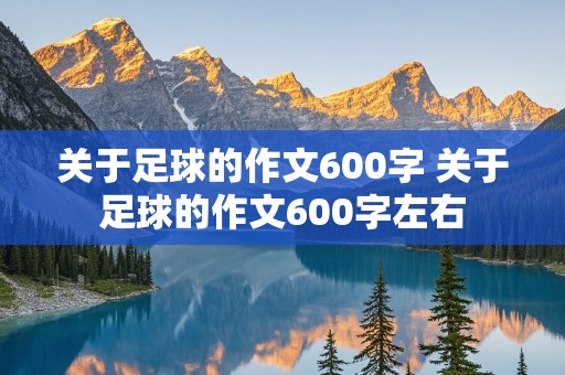 关于足球的作文600字 关于足球的作文600字左右