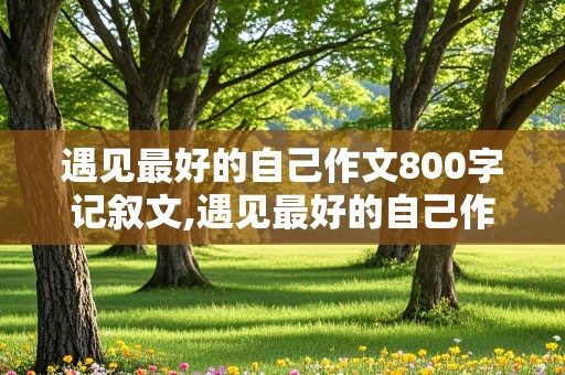 遇见最好的自己作文800字记叙文,遇见最好的自己作文800字记叙文普通一点