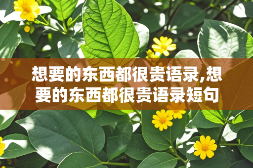 想要的东西都很贵语录,想要的东西都很贵语录短句