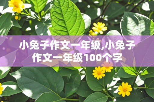 小兔子作文一年级,小兔子作文一年级100个字