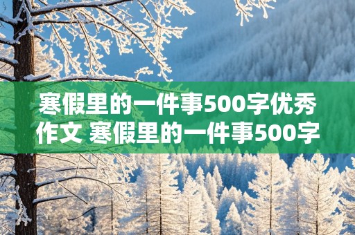 寒假里的一件事500字优秀作文 寒假里的一件事500字优秀作文大全