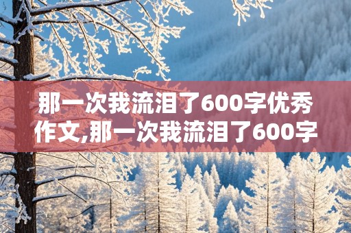 那一次我流泪了600字优秀作文,那一次我流泪了600字优秀作文高中