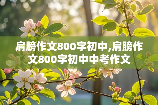 肩膀作文800字初中,肩膀作文800字初中中考作文