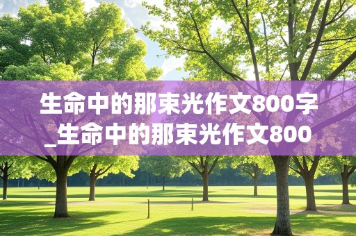 生命中的那束光作文800字_生命中的那束光作文800字记叙文