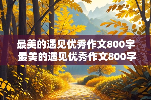 最美的遇见优秀作文800字 最美的遇见优秀作文800字初中