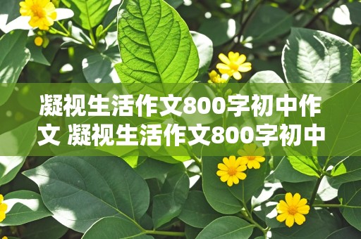 凝视生活作文800字初中作文 凝视生活作文800字初中作文叙事