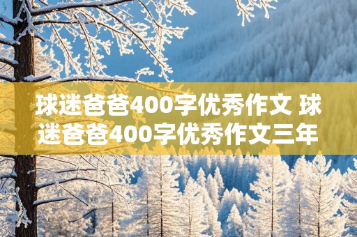 球迷爸爸400字优秀作文 球迷爸爸400字优秀作文三年级