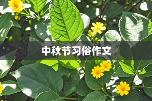 中秋节习俗作文