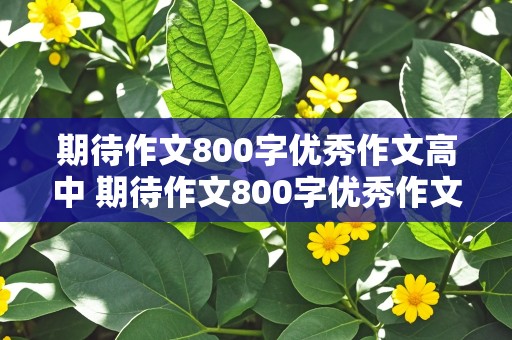 期待作文800字优秀作文高中 期待作文800字优秀作文高中生