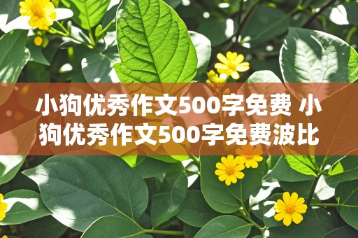 小狗优秀作文500字免费 小狗优秀作文500字免费波比