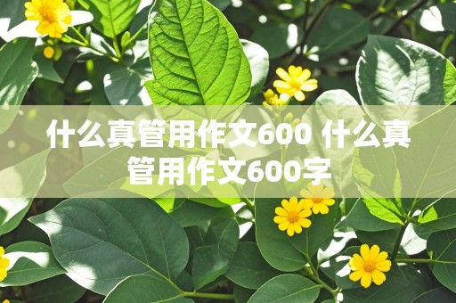 什么真管用作文600 什么真管用作文600字