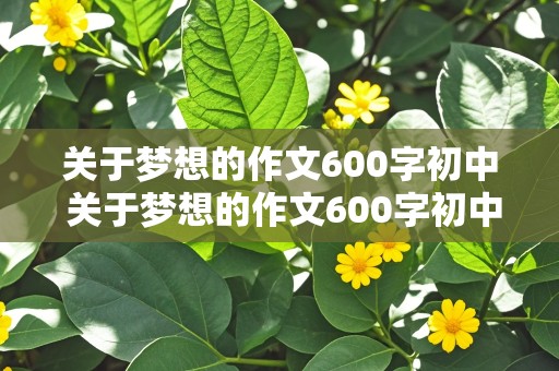 关于梦想的作文600字初中 关于梦想的作文600字初中记叙文