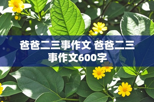 爸爸二三事作文 爸爸二三事作文600字