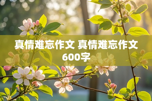 真情难忘作文 真情难忘作文600字