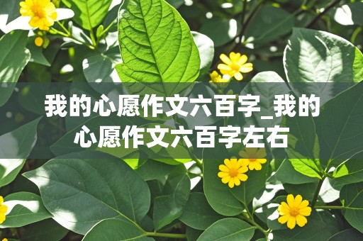 我的心愿作文六百字_我的心愿作文六百字左右