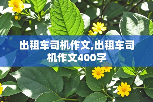 出租车司机作文,出租车司机作文400字